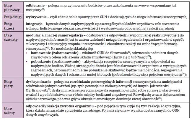 Testy integracyjne u dzieci: Przykłady i co mówią o rozwoju SI?