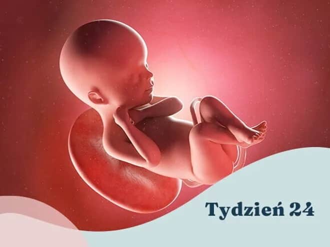 24. tydzień ciąży: Niesamowity rozwój dziecka co musisz wiedzieć?